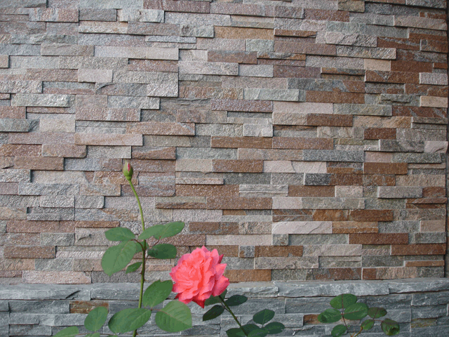 Ļʯ